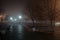 Lanterns trees and benches in the fog at night in the park. Late autumn night in the park. Wood benches and park alley