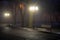 Lanterns trees and benches in the fog at night in the park. Late autumn night in the park. Wood benches and park alley