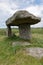 Lanyon Quoit, Morvah, Cornwall, England. An ancient Dolmen