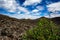 Lanzarote black volcanic desert and green bush