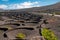 Lanzarote island vineyard landscape