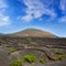 Lanzarote La Geria vineyard on black volcanic soil