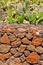 Lanzarote La Guatiza masonry with volcanic stones