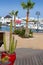 Lanzarote Marina Rubicon Playa Blanca