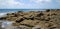 Lanzarote Rocky Beach Scene 012