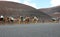 LANZAROTE, SPAIN - APRIL 20, 2018: tourist riding Camels in volcanic landscape in Timanfaya national park, Lanzarote