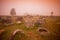 LAO PHONSAVAN PLAIN OF JARS