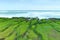 Laomei Green Reef, volcanic rocks with seasonal algae in Shimen District, New Taipei City,