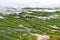 Laomei Green Reef, volcanic rocks with seasonal algae in Shimen District, New Taipei City,