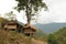 Laos: The Ban Huay Daue Village in the tropical forest along the MEkong River