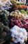 Laos: Fresh fruits at the market of Pakse City.