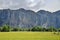 Laos Rice Paddy With Cliffs Behind