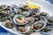 `Lapas` or true limpets with green moyo - traditional seafood of Tenerife and Madeira Islands