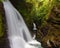 LaPaz Waterfall Gardens - Landscape