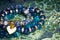 Lapis lazuli and sodalite bracelets