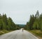 Lapland Finland, Lonely reindeer walking on the road