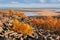 Lapland landscape with rocky mountain and colorful trees in autumn