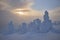 Lapland winter landscape, tree snow winter nature, christmas finland forest, frost mountain, arctic lapland sunset, scandinavia,