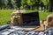 Laptop, backpack and smartphone on plaid blanket on a green grass lawn in the park.