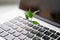 Laptop keyboard with plant growing on it. Green IT computing concept. Carbon efficient technology. Digital
