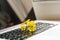 Laptop keyboard with yellow flower growing on it. Green IT computing concept. Carbon efficient technology. Digital
