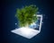 Laptop with magical green tree and rays of light