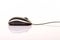 Laptop optical wheel mouse isolated on a white