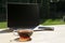 Laptop, phone and transparent cup of tea with sun ray through it stand on light wooden table in green garden.