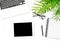 Laptop tablet notebook green plant Office desk flat lay