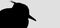 The lapwing bird, silhouette black on gray