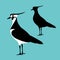 Lapwing vector illustration flat style profile side silhouette