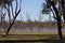 Lara wetlands near Barcaldine, Western Queensland