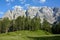 Larch forest in front of mountain peaks in Alps