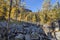 Larch Trees and Rocky Mountains at Lake Oâ€™Hara