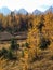 Larch Valley