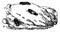 Lard Beetles, vintage illustration