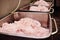 Lard, pork or ground beef in metal containers in food production at a meat processing plant.