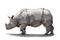 A large adult rhino is standing sideways.