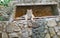 A large adult tiger lies in a niche in the stone wall of the enclosure, its front paws hanging down on a Sunny summer day