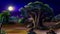 Large African baobab. Night View.