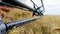 Large agricultural machines collect and cut wheat ears, closeup. Harvesting golden wheat