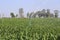 A large agriculture sprinkler wetting a newly planted corn field