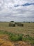 Large alfalfa hay baled in a field