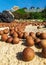 A large amount of langan on a sandy beach. Mountains of fruit