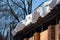 Large amounts of snow have accumulated on the edge of the roof in winter