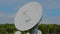 Large antenna array white dish