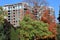 Large apartment buildings surrounded by trees