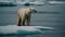 Large arctic mammal looking at camera on ice floe generated by AI