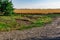 Large areas of fields with wheat and barley. Russia, Rostov region, roadways near a grown crop of Golden ears