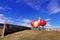 A large artificial fruits at the entrance to Cromwell in Otago region of the South Island of New Zealand